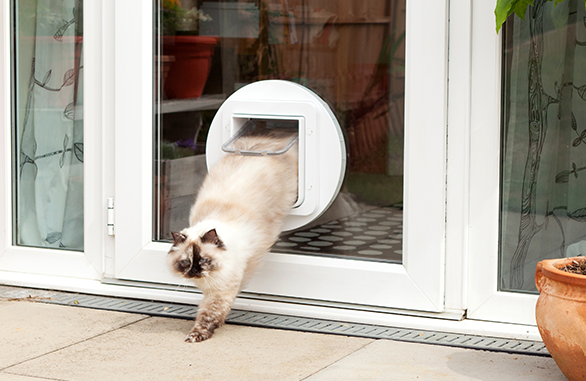 SureFlap Microchip Pet Door
