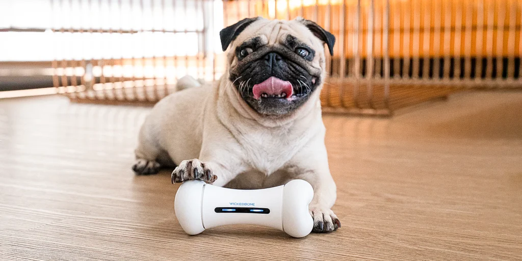 Wickedbone Smart Dog Toy