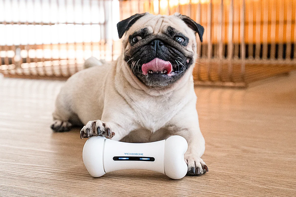 Wickedbone Smart Dog Toy