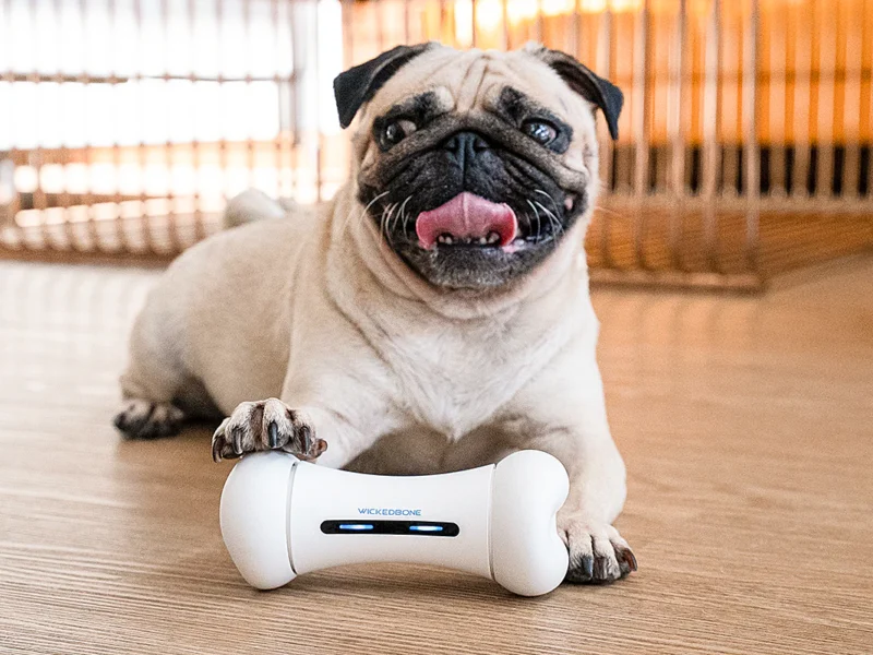 Wickedbone Smart Dog Toy